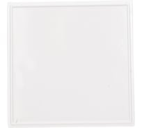 Заглушка DATAREX 45х45 мм, на 2 модуля, белый DR-513310