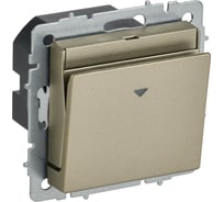 Выключатель карточный IEK BRITE 30А ВС10-1-8-БрШ шампань BR-V11-0-10-K37