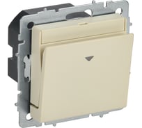 Выключатель карточный IEK BRITE 30А ВС10-1-8-БрКр бежевый BR-V11-0-10-K10