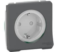 1-местный механизм розетки Systeme Electric открытой проводки Mureva Styl 16А IP55 с заземлением антрацит MUR36135