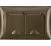 Розетка двойная TDM ELECTRIC 2П+З, 16А, 250В, IP44, с защитными шторками, с крышкой, бронза, Лама TDM SQ1815-0790