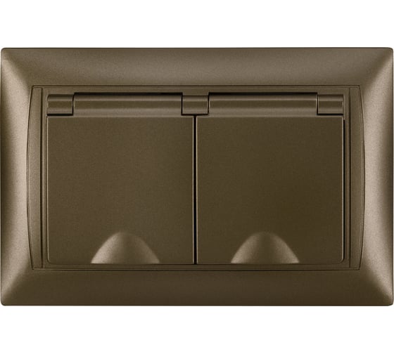 Розетка двойная TDM ELECTRIC 2П+З, 16А, 250В, IP44, с защитными шторками, с крышкой, бронза, Лама TDM SQ1815-0790