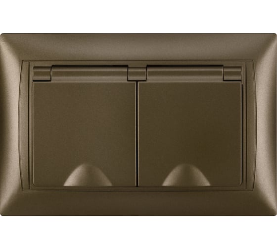 Розетка двойная TDM ELECTRIC 2П+З, 16А, 250В, IP44, с защитными шторками, с крышкой, бронза, Лама TDM SQ1815-0790