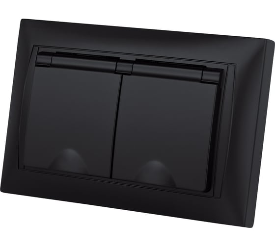 Розетка двойная TDM ELECTRIC 2П+З, 16А, 250В, IP44, с защитными шторками, с крышкой, графит, Лама TDM SQ1815-0670