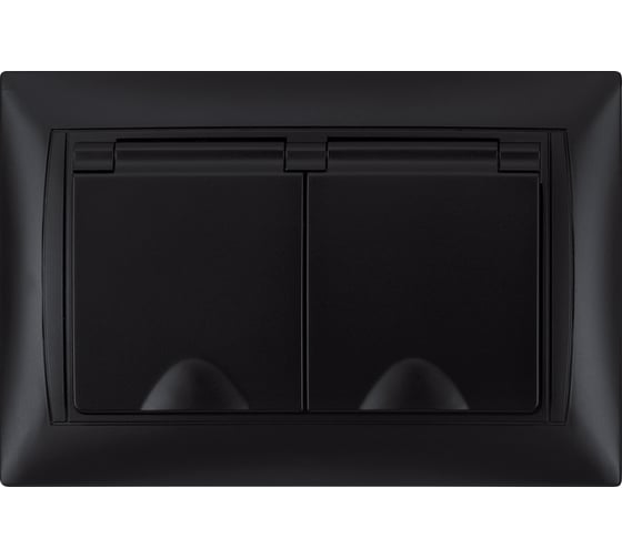 Розетка двойная TDM ELECTRIC 2П+З, 16А, 250В, IP44, с защитными шторками, с крышкой, графит, Лама TDM SQ1815-0670