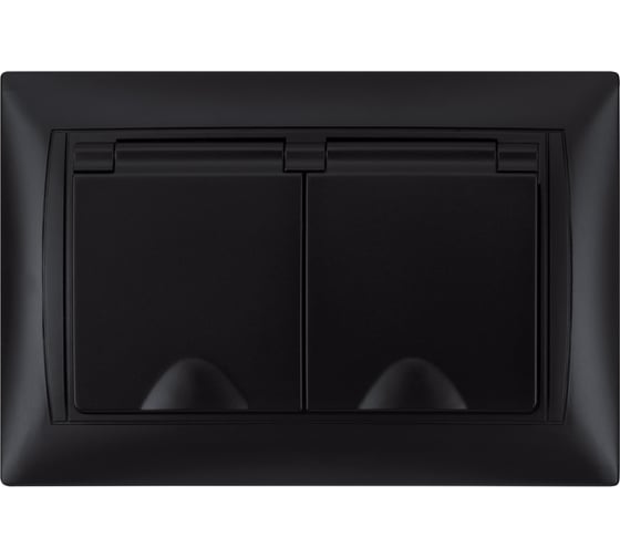 Розетка двойная TDM ELECTRIC 2П+З, 16А, 250В, IP44, с защитными шторками, с крышкой, графит, Лама TDM SQ1815-0670