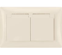 Розетка двойная TDM ELECTRIC 2П+З, 16А, 250В, IP44, с защитными шторками, с крышкой, слоновая кость, Лама TDM SQ1815-0160