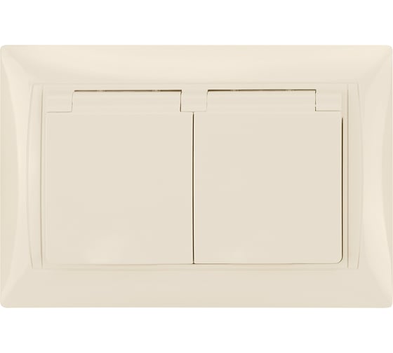 Розетка двойная TDM ELECTRIC 2П+З, 16А, 250В, IP44, с защитными шторками, с крышкой, слоновая кость, Лама TDM SQ1815-0160