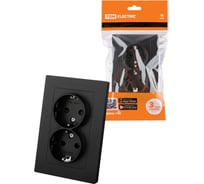 Розетка двойная TDM ELECTRIC 2П+З, 16А, 250В, с защитными шторками, черная, Сенеж TDM SQ1816-0277