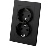 Розетка двойная TDM ELECTRIC 2П+З, 16А, 250В, с защитными шторками, черная, Сенеж TDM SQ1816-0277