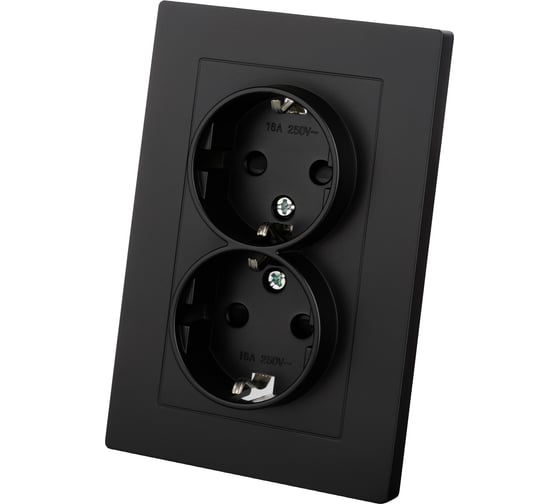 Розетка двойная TDM ELECTRIC 2П+З, 16А, 250В, с защитными шторками, черная, Сенеж TDM SQ1816-0277