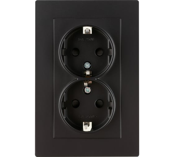 Розетка двойная TDM ELECTRIC 2П+З, 16А, 250В, с защитными шторками, черная, Сенеж TDM SQ1816-0277