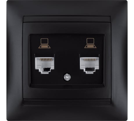 Розетка компьютерная двойная TDM ELECTRIC RJ45, графит, Лама TDM SQ1815-0675