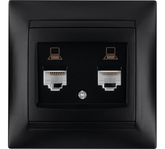 Розетка компьютерная двойная TDM ELECTRIC RJ45, графит, Лама TDM SQ1815-0675