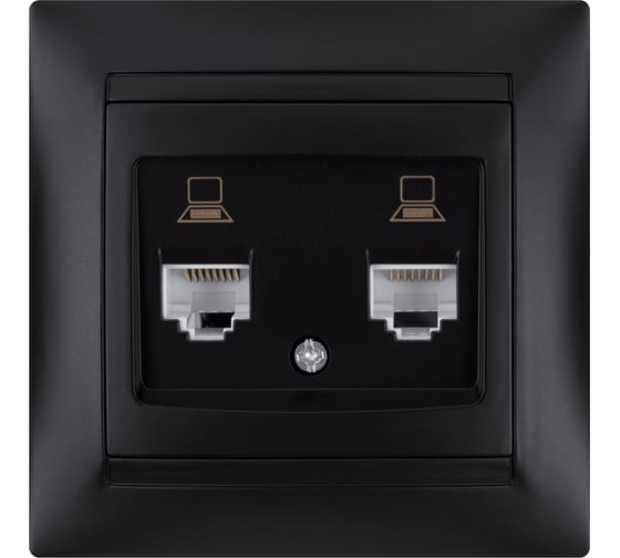 Розетка компьютерная двойная TDM ELECTRIC RJ45, графит, Лама TDM SQ1815-0675
