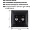 Розетка компьютерная двойная TDM ELECTRIC RJ45, графит, Лама TDM SQ1815-0675 3