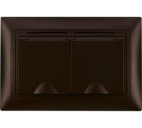 Розетка двойная TDM ELECTRIC 2П+З, 16А, 250В, IP44, с защитными шторками, с крышкой, шоколад, Лама TDM SQ1815-0560