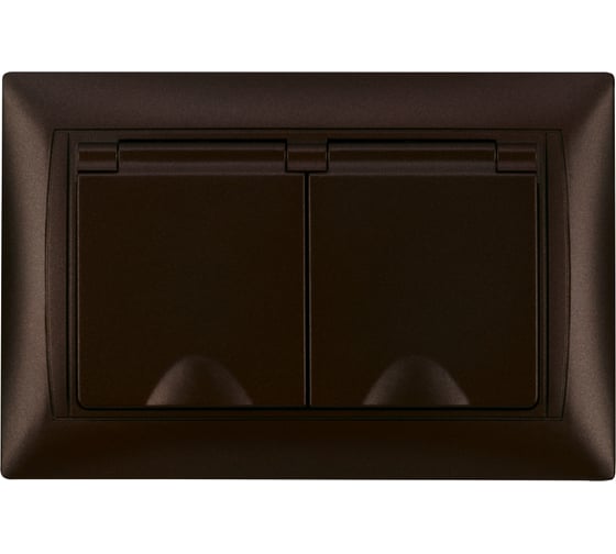 Розетка двойная TDM ELECTRIC 2П+З, 16А, 250В, IP44, с защитными шторками, с крышкой, шоколад, Лама TDM SQ1815-0560