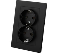 Розетка двойная TDM ELECTRIC 2П+З, 16А, 250В, черная, Сенеж TDM SQ1816-0276