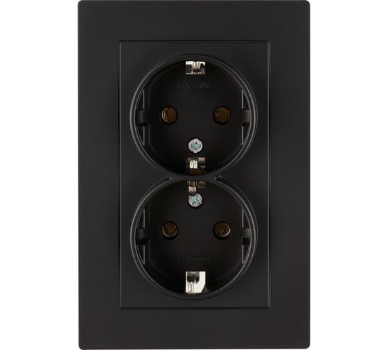 Розетка двойная TDM ELECTRIC 2П+З, 16А, 250В, черная, Сенеж TDM SQ1816-0276
