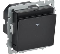 Выключатель карточный IEK BRITE 30А ВС10-1-8-БрЧ черный BR-V11-0-10-K02