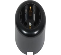 Розетка двухполюсная Electraline с ЗК, R, пластик, черный R1-101-23