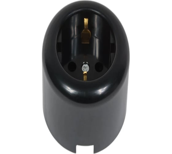 Розетка двухполюсная Electraline с ЗК, R, пластик, черный R1-101-23 1