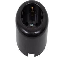 Розетка двухполюсная Electraline с ЗК, R, пластик, коричневый R1-101-22