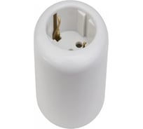 Розетка двухполюсная Electraline с ЗК, R, пластик, белый R1-101-21