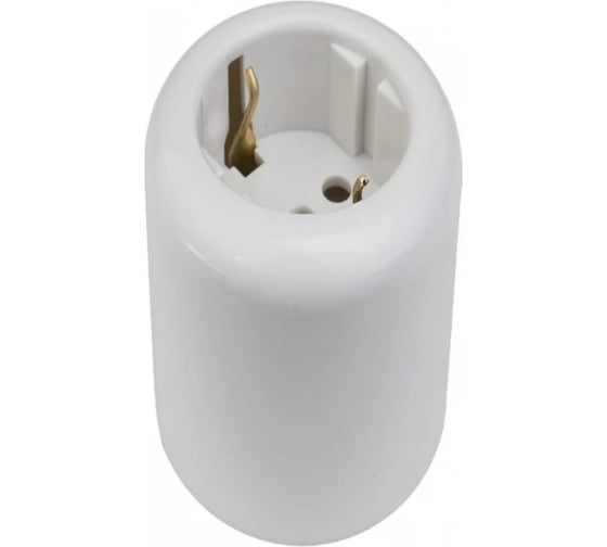 Розетка двухполюсная Electraline с ЗК, R, пластик, белый R1-101-21 1
