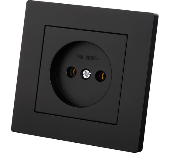 Розетка TDM ELECTRIC 2П 10А 250В черная Сенеж TDM SQ1816-0270