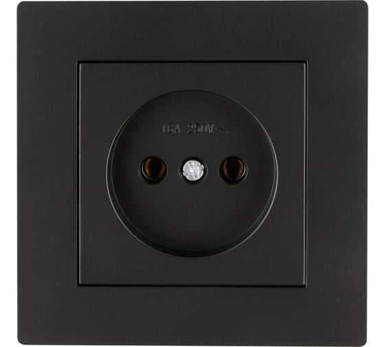 Розетка TDM ELECTRIC 2П 10А 250В черная Сенеж TDM SQ1816-0270