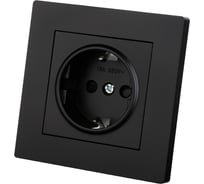Розетка TDM ELECTRIC 2П+З 16А 250В с защ. шт. черная Сенеж TDM SQ1816-0273