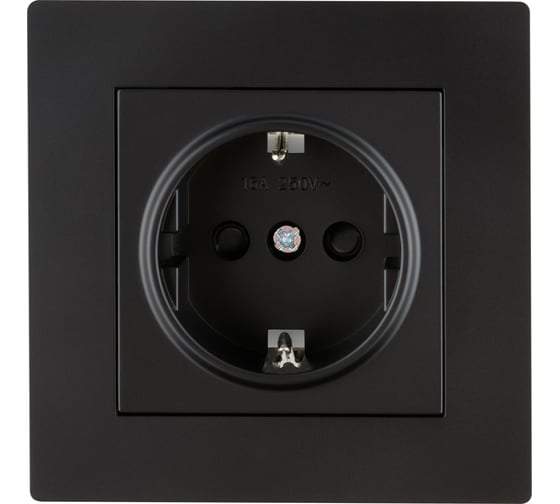 Розетка TDM ELECTRIC 2П+З 16А 250В с защ. шт. черная Сенеж TDM SQ1816-0273