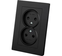 Розетка TDM ELECTRIC двойная 2П 10А 250В с защ. шт. черная Сенеж TDM SQ1816-0275