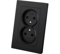 Розетка TDM ELECTRIC двойная 2П 10А 250В с защ. шт. черная Сенеж TDM SQ1816-0275