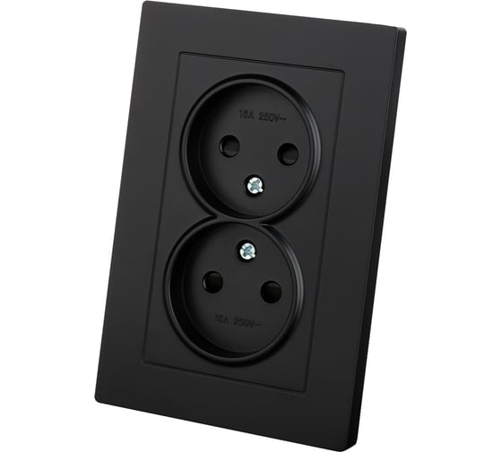 Розетка TDM ELECTRIC двойная 2П 10А 250В с защ. шт. черная Сенеж TDM SQ1816-0275
