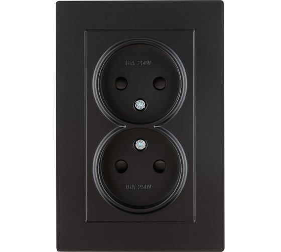 Розетка TDM ELECTRIC двойная 2П 10А 250В с защ. шт. черная Сенеж TDM SQ1816-0275
