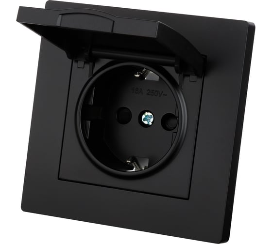 Розетка TDM ELECTRIC 2П+З 16А 250В IP44 с защ. шт. с крышкой черная Сенеж TDM SQ1816-0279