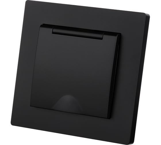 Розетка TDM ELECTRIC 2П+З 16А 250В IP44 с защ. шт. с крышкой черная Сенеж TDM SQ1816-0279