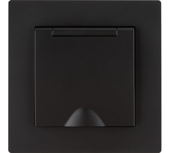 Розетка TDM ELECTRIC 2П+З 16А 250В IP44 с защ. шт. с крышкой черная Сенеж TDM SQ1816-0279