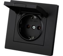 Розетка TDM ELECTRIC 2П+З 16А 250В IP44 с крышкой черная Сенеж TDM SQ1816-0278