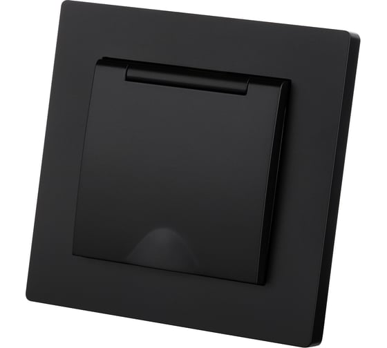 Розетка TDM ELECTRIC 2П+З 16А 250В IP44 с крышкой черная Сенеж TDM SQ1816-0278