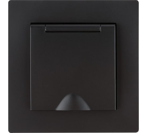 Розетка TDM ELECTRIC 2П+З 16А 250В IP44 с крышкой черная Сенеж TDM SQ1816-0278
