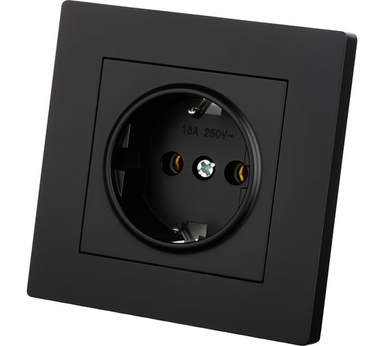Розетка TDM ELECTRIC 2П+З 16А 250В черная Сенеж TDM SQ1816-0272 1