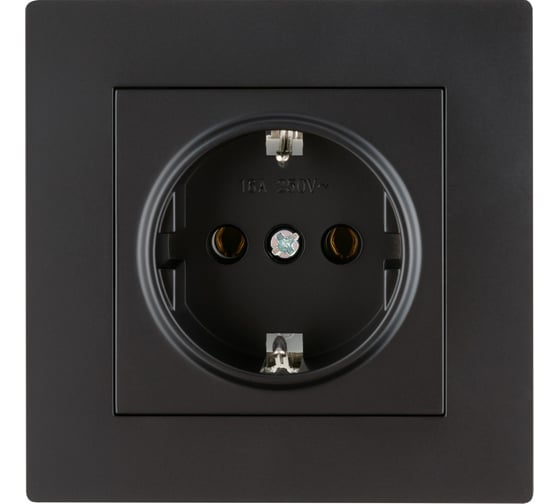 Розетка TDM ELECTRIC 2П+З 16А 250В черная Сенеж TDM SQ1816-0272