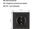 Розетка TDM ELECTRIC 2П+З 16А 250В черная Сенеж TDM SQ1816-0272 3