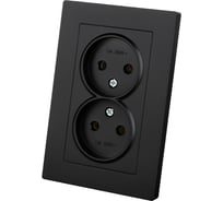 Розетка TDM ELECTRIC двойная 2П 10А 250В черная Сенеж TDM SQ1816-0274
