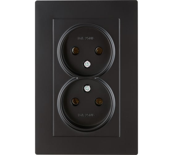Розетка TDM ELECTRIC двойная 2П 10А 250В черная Сенеж TDM SQ1816-0274