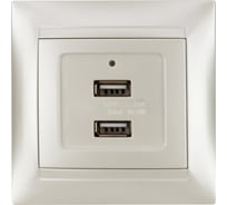 Розетка TDM ELECTRIC 2USB порт 2,1А 5В перламутр Лама TDM SQ1815-0841